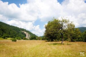 Przeczytaj artykuł NIEZNANA WIOSKA MAJDAN