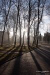 Franko Drohobych street park next to the university