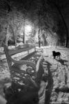 Franko Drohobych street park next to the university winter