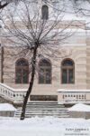 Shevchenko street Drohobych Villa Wit Jarosz