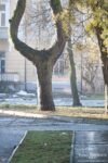 Drohobych street Shevchenko park