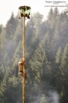 Festival Tustan climbing contest prize