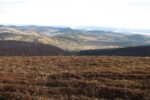 Nadsanski Regional Nature Park 1