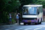 Transportation Bus STANDARD BAZ