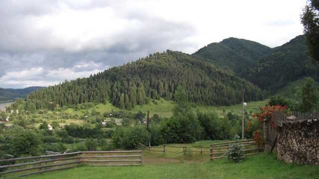 rybnyk nature lipiec4